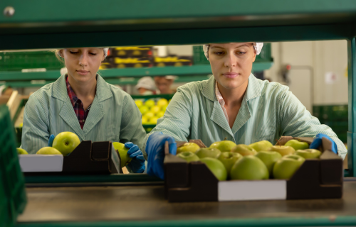 Atención personalizada en los servicios de frutas frescas de La Cantera de la Fruta